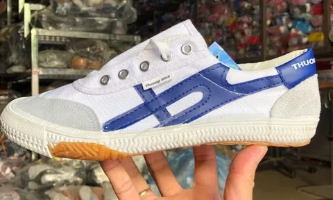 Doanh nghiệp liên quan Vinaconex thâu tóm 24% vốn Giầy Thượng Đình