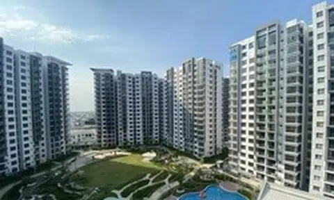 Thực hư 'làn sóng' cắt lỗ, xả hàng căn hộ