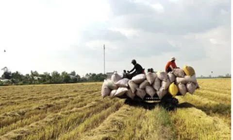 Giá xăng dầu điều chỉnh nhưng nhiều dịch vụ lại không giảm tương ứng