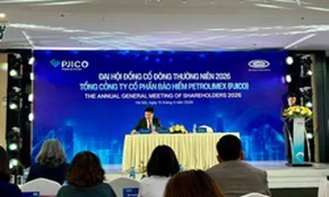 Đại hội cổ đông Bảo hiểm PJICO: Dự chi 133 tỷ cổ tức tiền mặt, miễn nhiệm thành viên HĐQT Nguyễn Thị Hương Giang