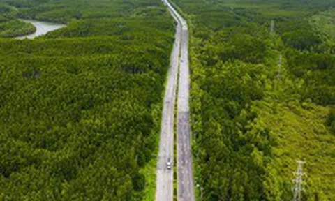 TPHCM: Nghiên cứu mở rộng đường Rừng Sác lên 8 làn xe