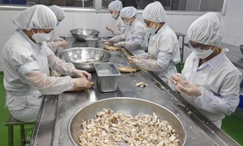 Hỗ trợ vốn cho doanh nghiệp TP HCM