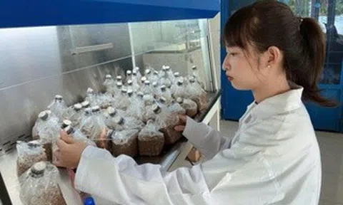 Lan tỏa tinh thần khởi nghiệp