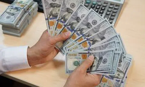 Người mua, bán ngoại tệ sẽ bị tịch thu số tiền nếu thực hiện hành vi sau