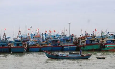 Gia Lai thuê giám sát hành trình để kiểm soát 186 tàu cá rủi ro cao