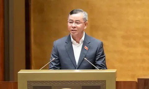 Bộ trưởng Bộ Tài chính: Ngưỡng doanh thu miễn thuế 1 tỉ đồng với hộ kinh doanh là "hài hoà"