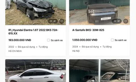 Ngân hàng thu giữ loạt xe ô tô điện của Mai Linh Lào Cai