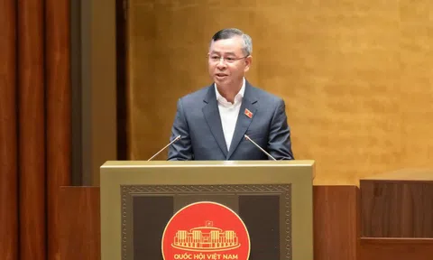 Đề xuất hộ kinh doanh thu trên 3 tỷ/năm mới phải nộp thuế