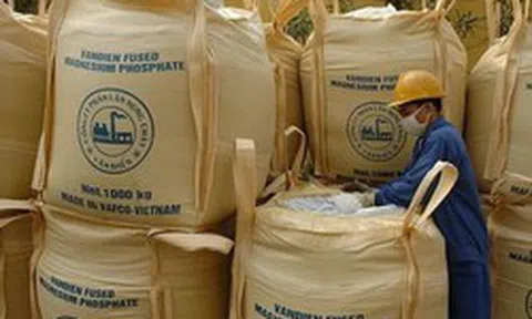 Phân lân Văn Điển bị nhắc nhở vì chậm công bố liên quan BCTC quý I/2026