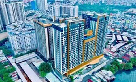 Bất ngờ lý do nhiều chủ đầu tư buộc phải làm căn hộ diện tích lớn