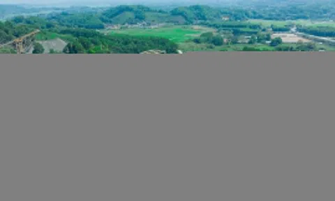MSR hướng đến tăng trưởng dài hạn sau giai đoạn phục hồi