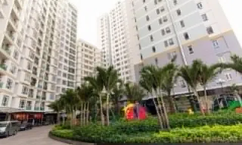 TP.HCM xem xét cấp sổ cho người mua ô đậu ôtô ở chung cư