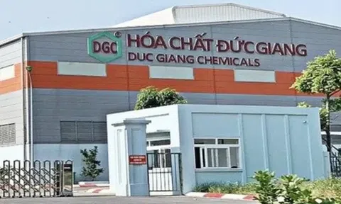 Em trai cựu Chủ tịch Đào Hữu Huyền vào HĐQT Hóa chất Đức Giang