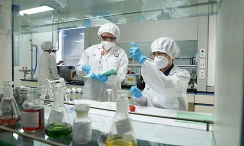 Imexpharm chính thức về tay 'gã khổng lồ' dược phẩm Trung Quốc