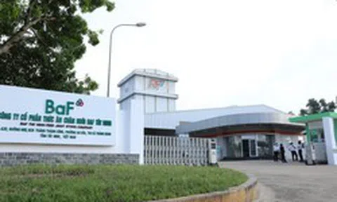 Lợi nhuận dự báo “bùng nổ” 485%, vì sao cổ phiếu BAF vẫn giao dịch ì ạch?