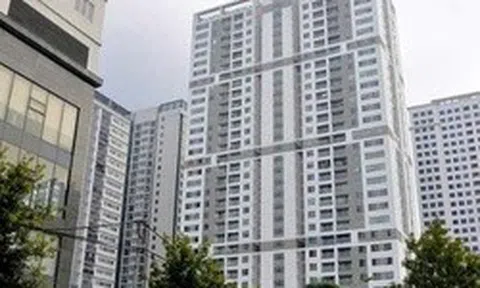 Taseco Land chốt ngày trả cổ tức và phát hành cổ phiếu thưởng