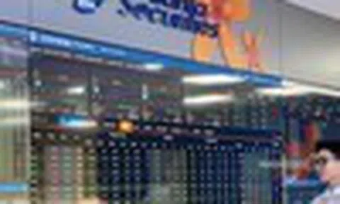 Chiến lược đầu tư trong thị trường phân hóa