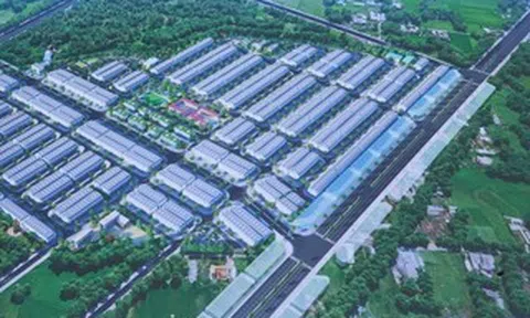 Khởi công khu tái định cư đầu tiên của dự án đường Vành đai 4 TPHCM qua Tây Ninh