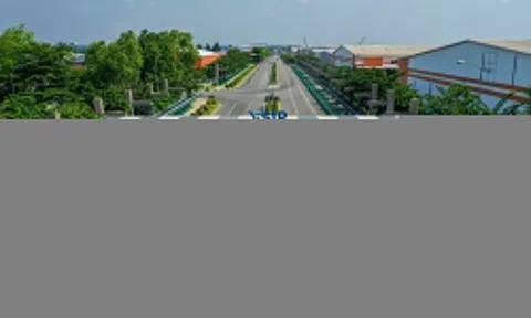 VSIP làm khu công nghệ cao 6.000 tỷ ở Ninh Bình
