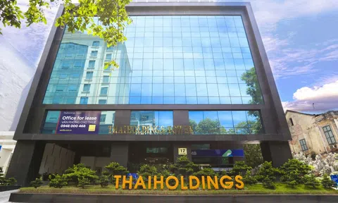 'Hiện tượng' Thaiholdings trở lại