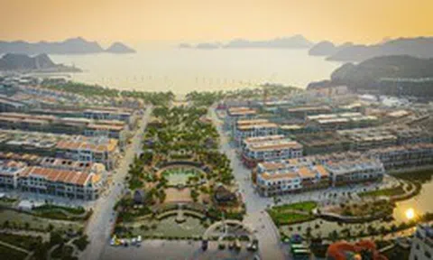 Xanh Island: “Chiến mã” kéo dài thời gian lưu trú của du khách Cát Bà