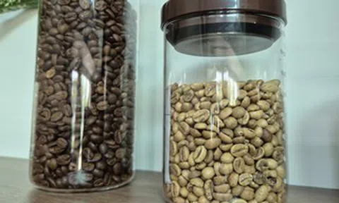 Giá cà phê hôm nay 30-5: Arabica lao dốc, người Việt uống cà phê nhiều hơn