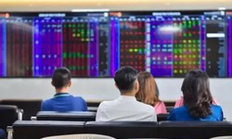 VinaCapital nói về tác động của cổ phiếu Vingroup