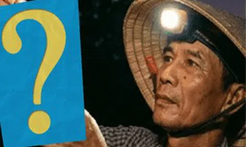 Nửa đêm thu hoạch, rạng sáng xuất khẩu: Loại quả này của Việt Nam đang được Trung Quốc săn đón đặc biệt