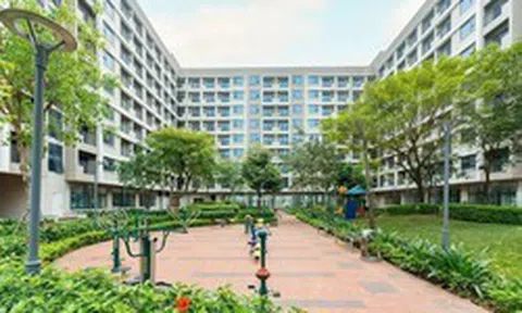Chuyển nhà xã hội không bán hết sau 1 năm thành thương mại: Cần làm rõ lý do 'ế'