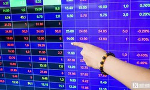 Sao Thăng Long có cổ đông lớn mới