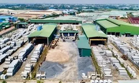 Hiếm gặp: Xin kiểm tra cổ phiếu chính công ty mình, lo bị thâu tóm