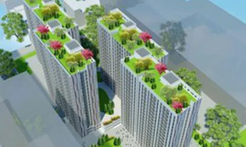 Thành phố trẻ nhất Việt Nam chuẩn bị khởi công dự án 1.000 căn nhà cho thuê đầu tiên