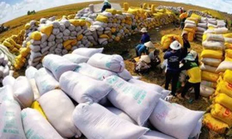Việt Nam đón tin vui từ mặt hàng xuất khẩu chủ lực: Sản phẩm cao cấp ngày càng được ưa chuộng
