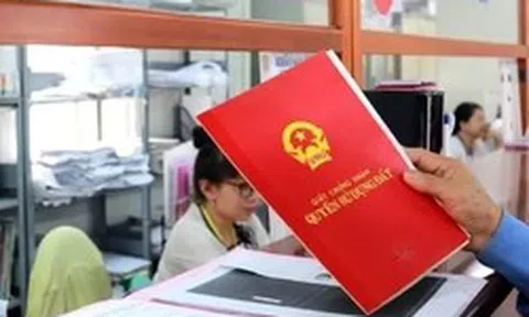 Số lượng sổ đỏ cấp lần đầu ở TPHCM giảm mạnh