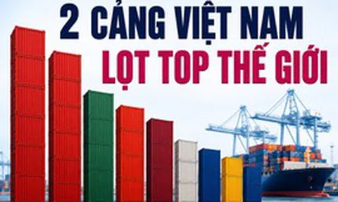 Tự hào: Hai cảng container Việt Nam đứng Top hiệu quả nhất toàn cầu