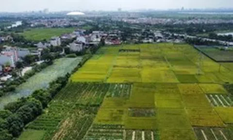 Quy định mới về xây dựng công trình trên đất lúa: Xây 1 tầng, không hầm