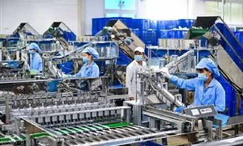 Thu hút vốn FDI: Không thể chỉ trông chờ 'đại bàng' đến làm tổ