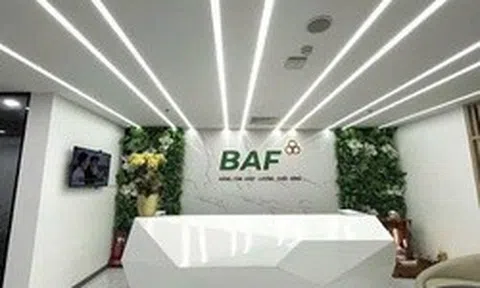 Baf Việt Nam ‘rót’ 810 tỷ đồng thành lập 4 công ty con tại Hà Nội