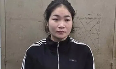 Nữ quái lừa đảo làm thủ tục đất đai, chiếm đoạt nhiều tỷ đồng