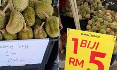 Chuyện gì đang xảy ra tại quốc gia ‘sầu riêng vua’ của Đông Nam Á: Giá giảm còn 3.000 đồng/quả, nông dân gặp áp lực