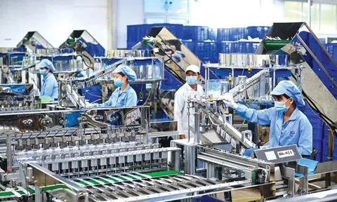 Bức tranh đa chiều về vị thế của doanh nghiệp TP.HCM: Có đang “hụt hơi”? (Bài 1)