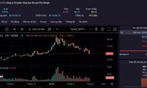 Cổ phiếu bị bán tháo, PNJ nói việc một giám đốc bị bắt vì buôn lậu kim cương