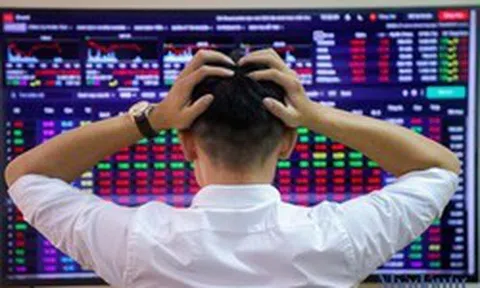 Dragon Capital chỉ ra nghịch lý trên thị trường chứng khoán, gọi tên hai cổ phiếu đang bị định giá thấp hơn giá trị