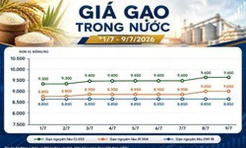 Thị trường hàng hóa ngày 9/7: Hồ tiêu phục hồi, cao su giữ đà tăng