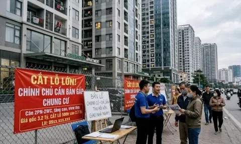 Mua nhà cắt lỗ cần lưu ý điều gì?