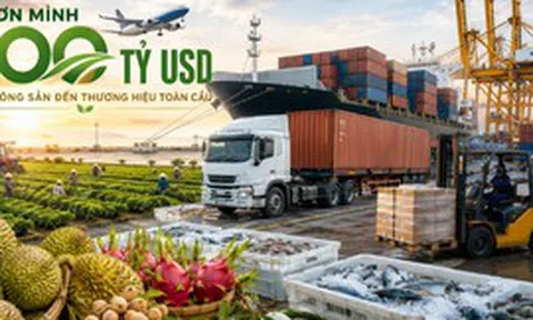 Một ngành hàng của Việt Nam đặt mục tiêu thu 100 tỷ USD năm 2027 - cần một 'tổng công trình sư'