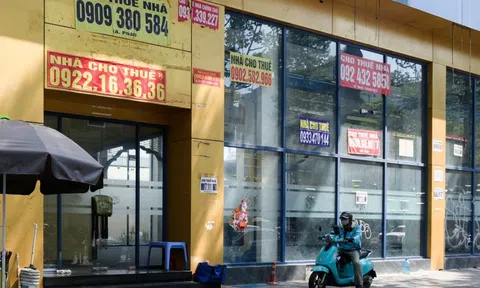 Bộ Tài chính xử lý hơn 1,1 triệu doanh nghiệp 'zombie'