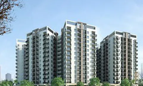 Đề xuất miễn tiền đất, vay vốn siêu rẻ làm nhà cho thuê