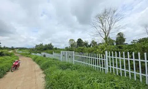 Đắk Lắk xác minh hoạt động môi giới tại khu đất tự xưng 'Làng An Yên 38 hộ dân'