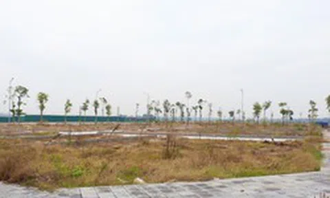 Đấu giá đất đã qua thời kỳ phải mua bằng mọi giá